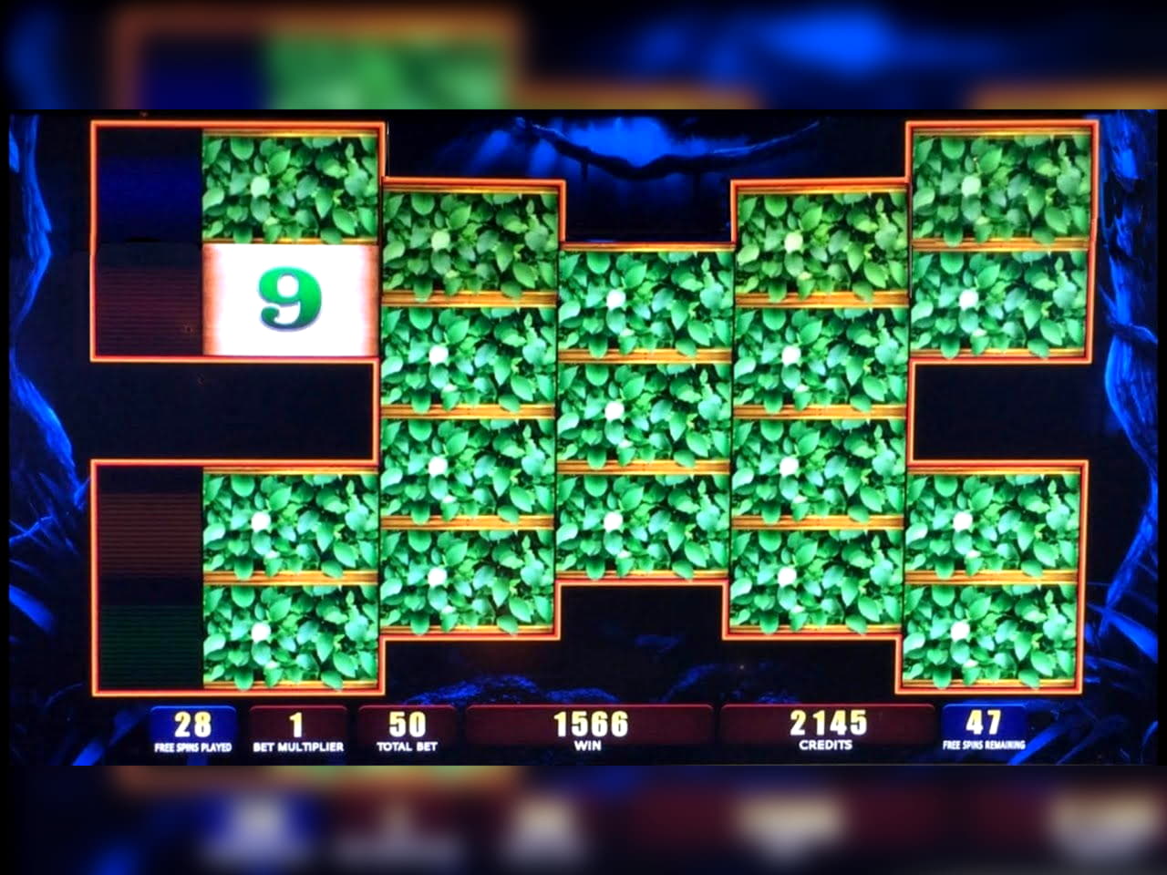 EURO 800 Casino tournaments freeroll at All Slots Casino