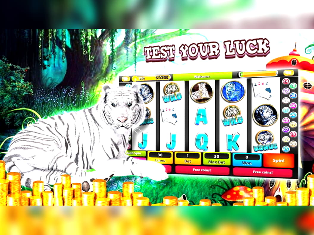 325% Match at a Casino at Red Bet Casino