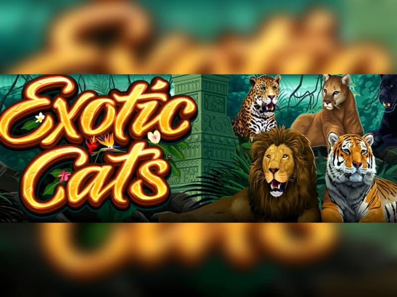 $1770 No deposit bonus at Betway Casino