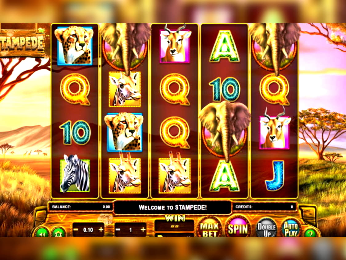 305% Match bonus casino at LV Bet Casino