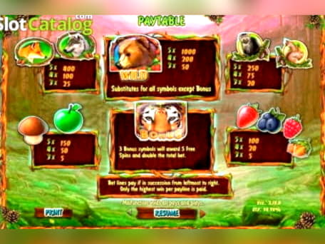 ﻿$560 Casino tournaments freeroll at Ruby Fortune Casino