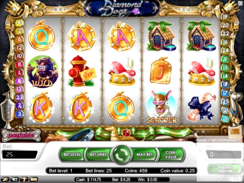 135 Loyal Free Spins! at Betway Casino