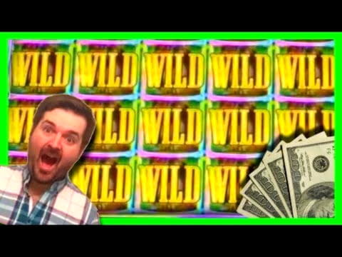 ﻿$3400 No Deposit Bonus Casino at Royal Dubai Casino