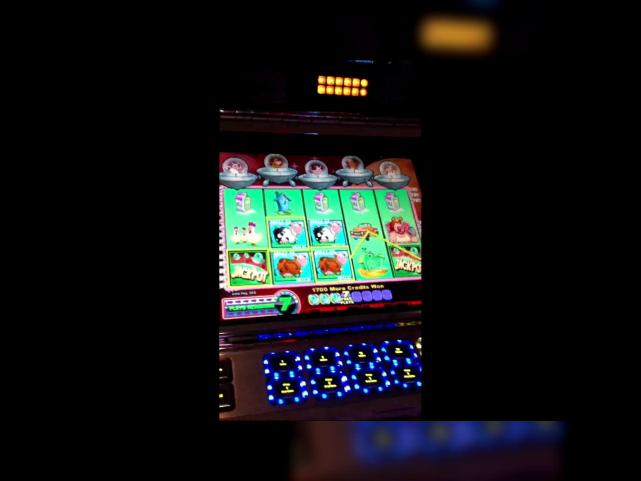 €115 Mobile freeroll slot tournament at Mummys Gold Casino