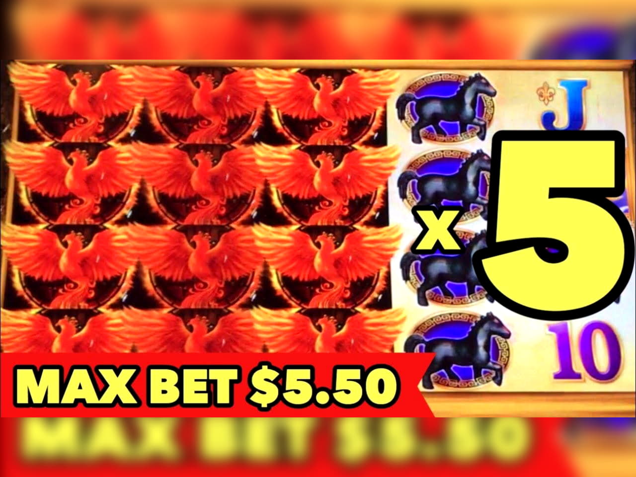 265 free spins no deposit casino at Royal Dubai Casino