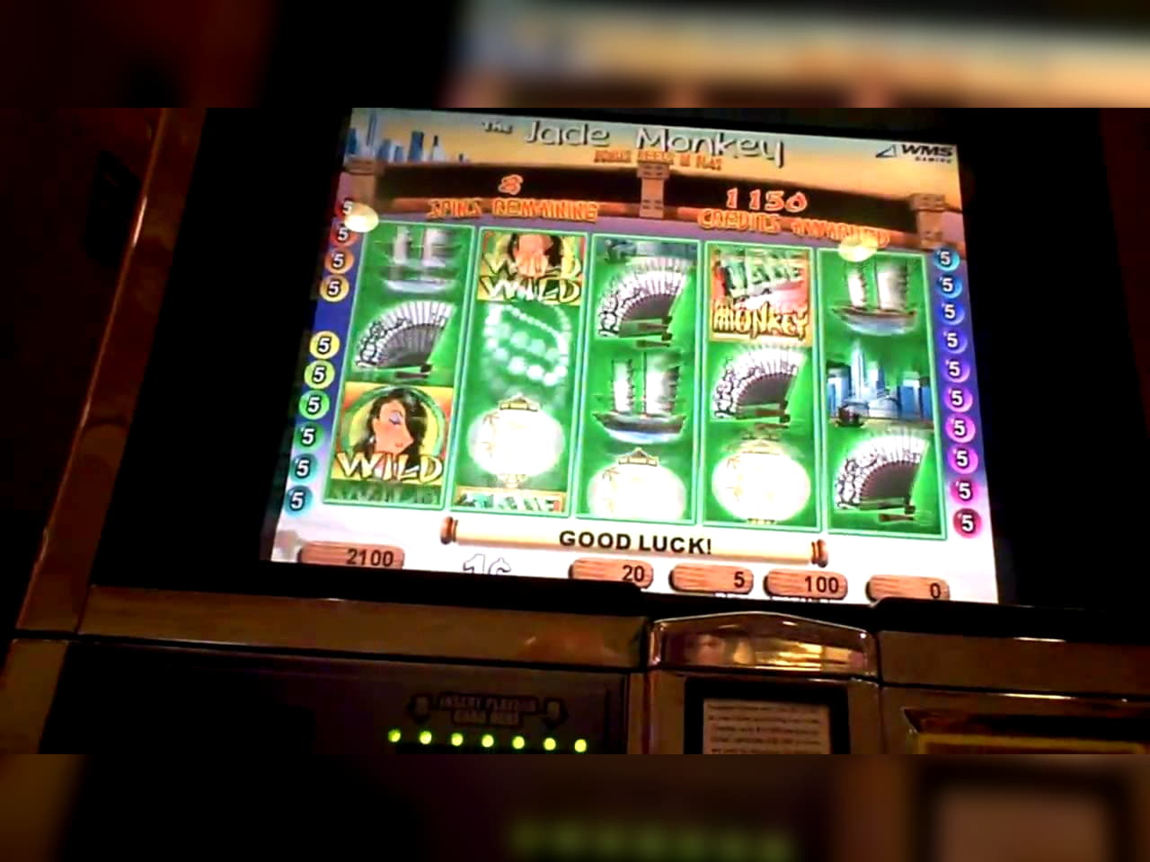 150 Loyal Free Spins! at Platinum Play Casino