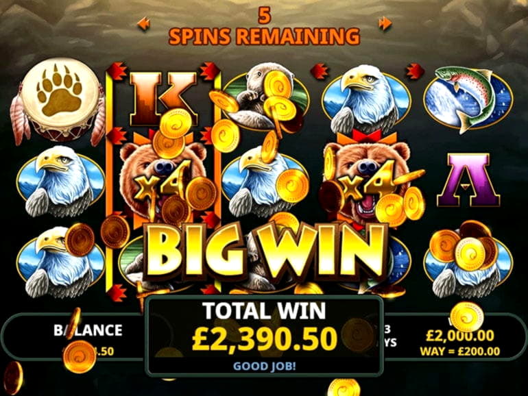 295 free spins casino at Mummys Gold Casino