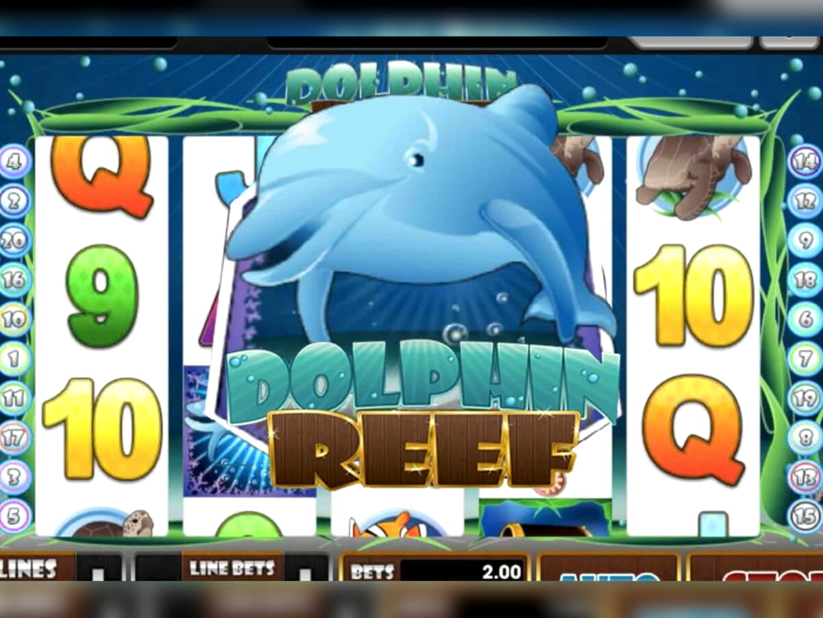 395% Best Signup Bonus Casino at Mrgreen Casino