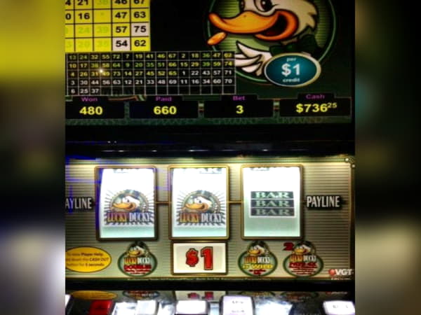 ﻿$340 Free Chip Casino at Jackpot City Casino