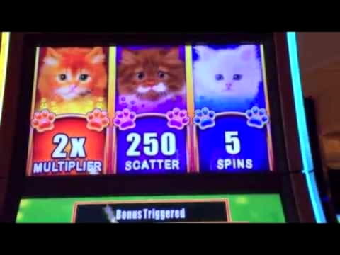 €90 free chip casino at Lucky Nugget Casino
