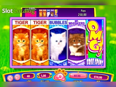175 free spins no deposit at Casino Max