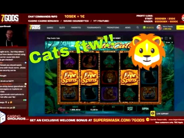 EUR 1725 no deposit bonus casino at Yes Casino 