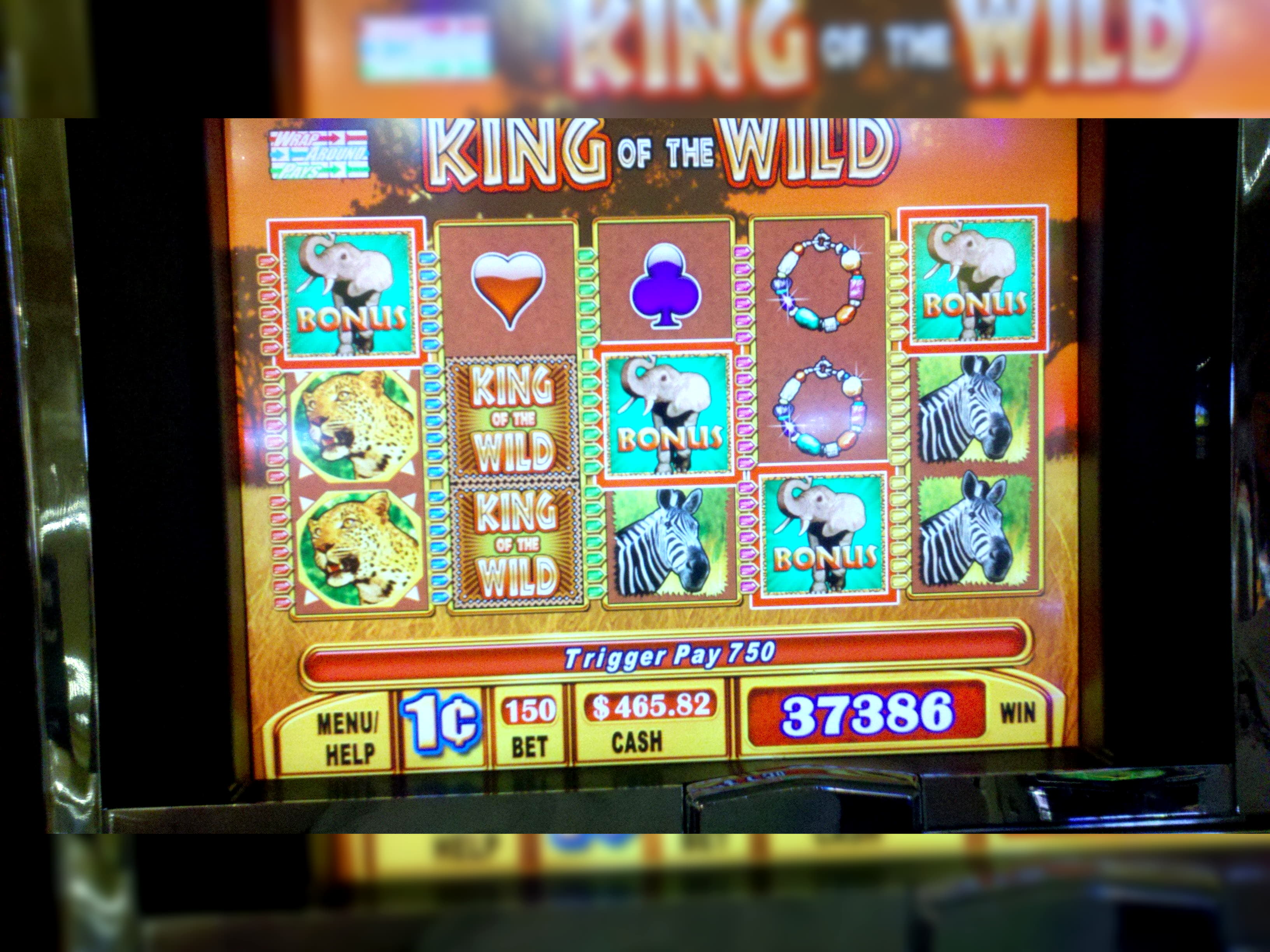 66 Loyalty Free Spins! at Mrgreen Casino