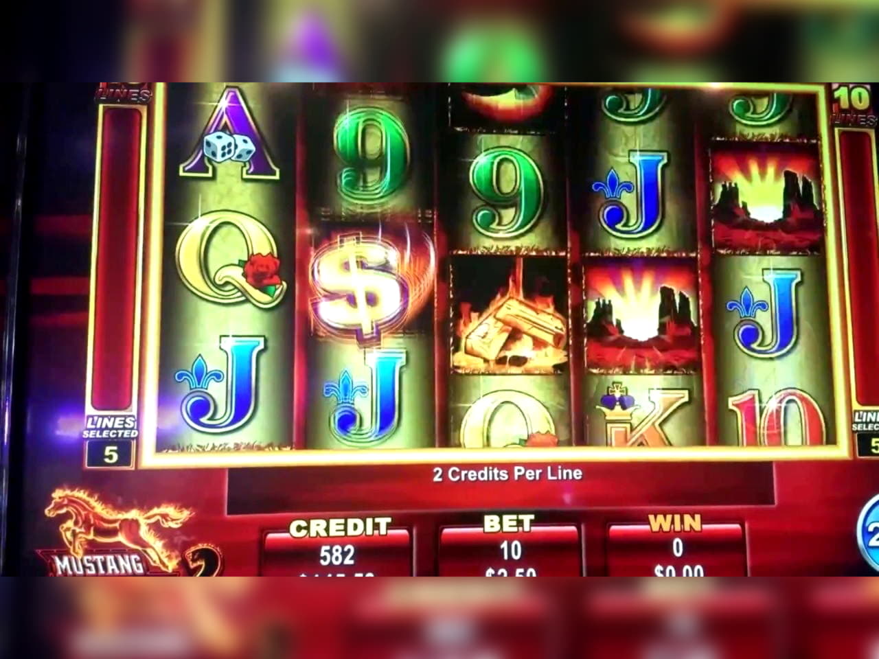 ﻿$265 Casino chip at Mummys Gold Casino