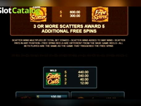 $930 No Deposit at Jackpot City Casino