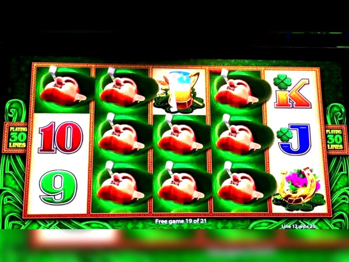 100 Free Spins at Mummys Gold Casino