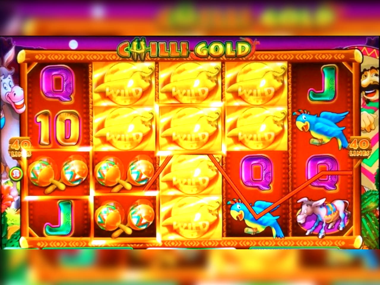 €550 Daily freeroll slot tournament at Genesis Casino