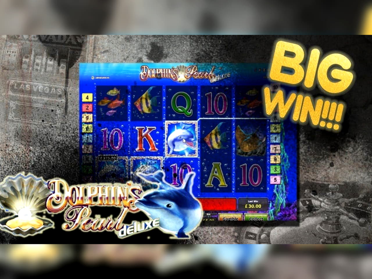 180 Loyal Free Spins! at bWin Casino