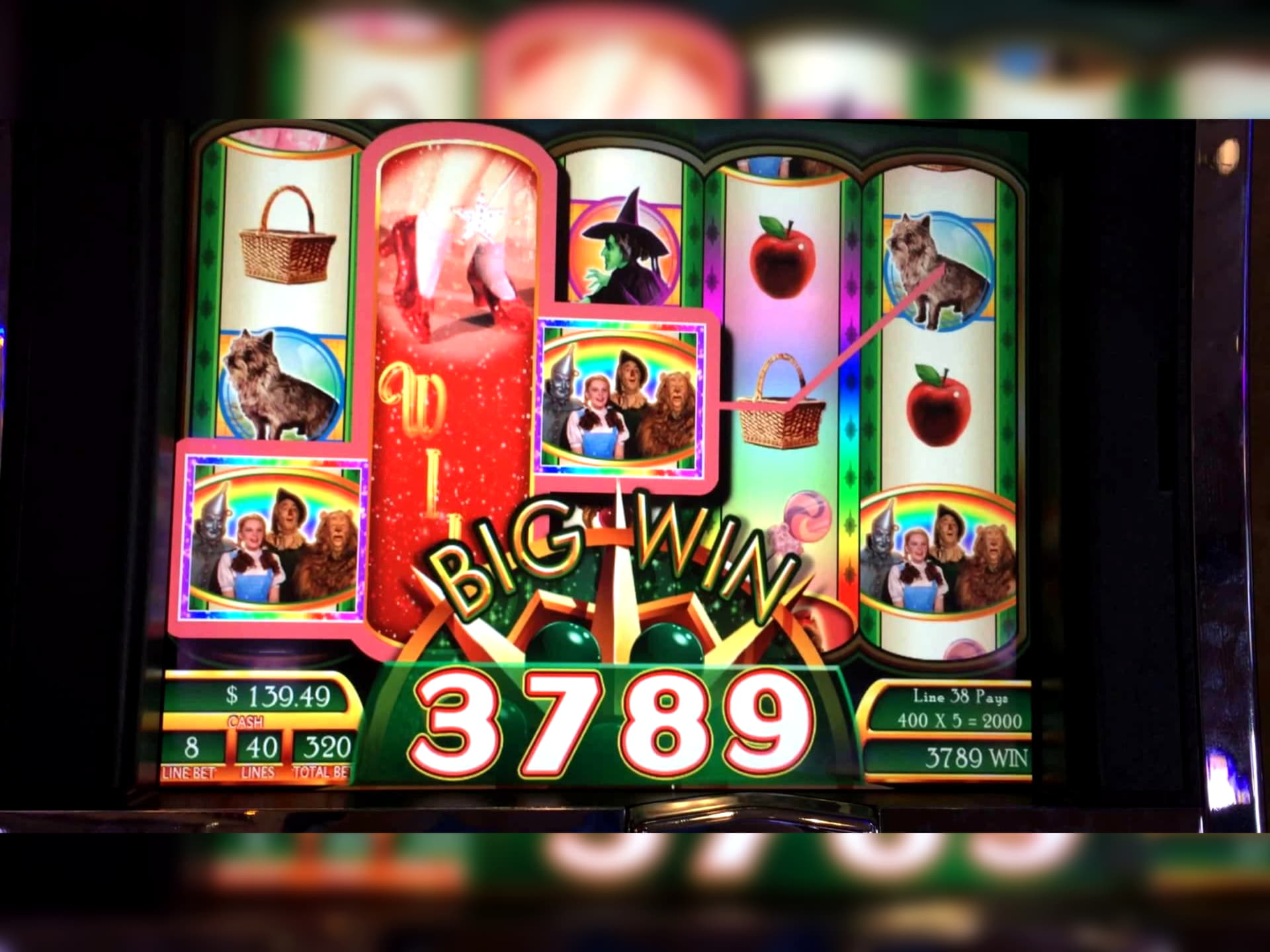 680% Welcome Bonus at Mummys Gold Casino