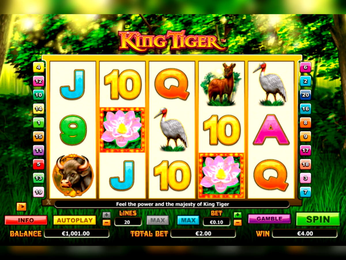 $395 Free chip at Intertops Casino