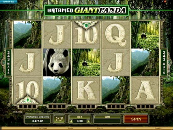 800% Match Bonus Casino at Cherry Jackpot Casino