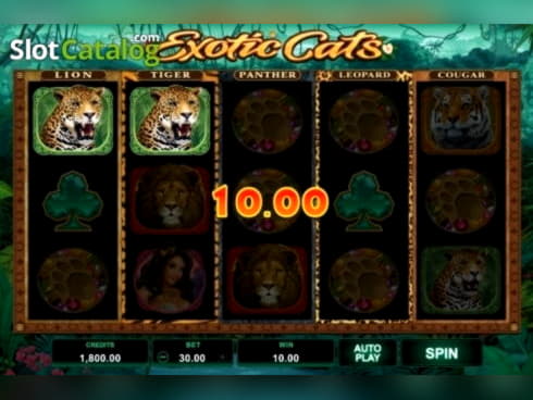 $295 casino chip at Euro Palace Casino
