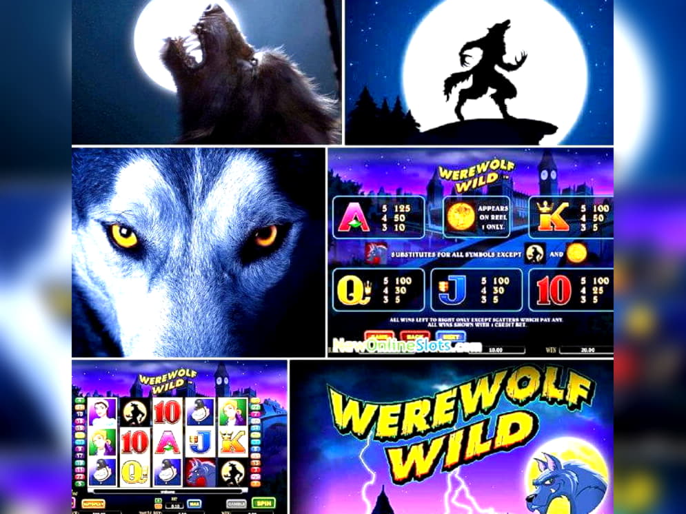 250 free spins at Platinum Play Casino