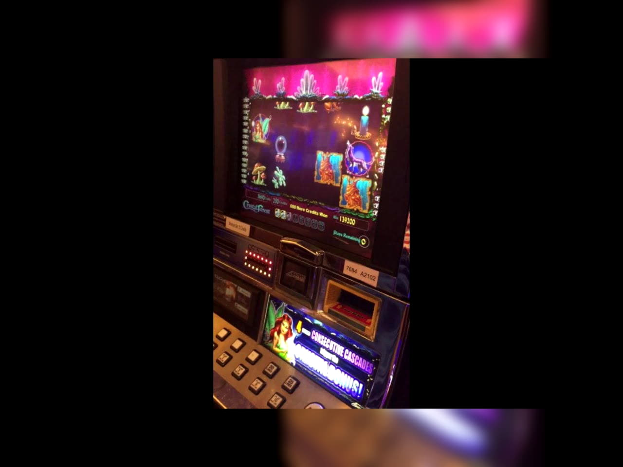 225 FREE SPINS at Royal Dubai Casino