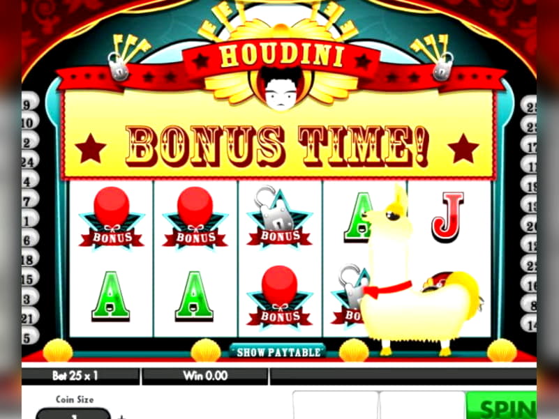 £925 No deposit bonus code at Casino Max