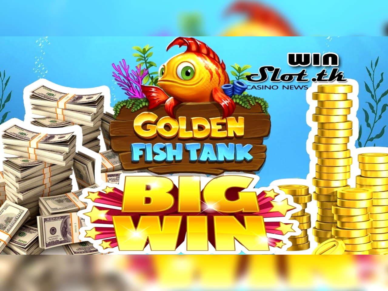 255 Free spins at Betway Casino