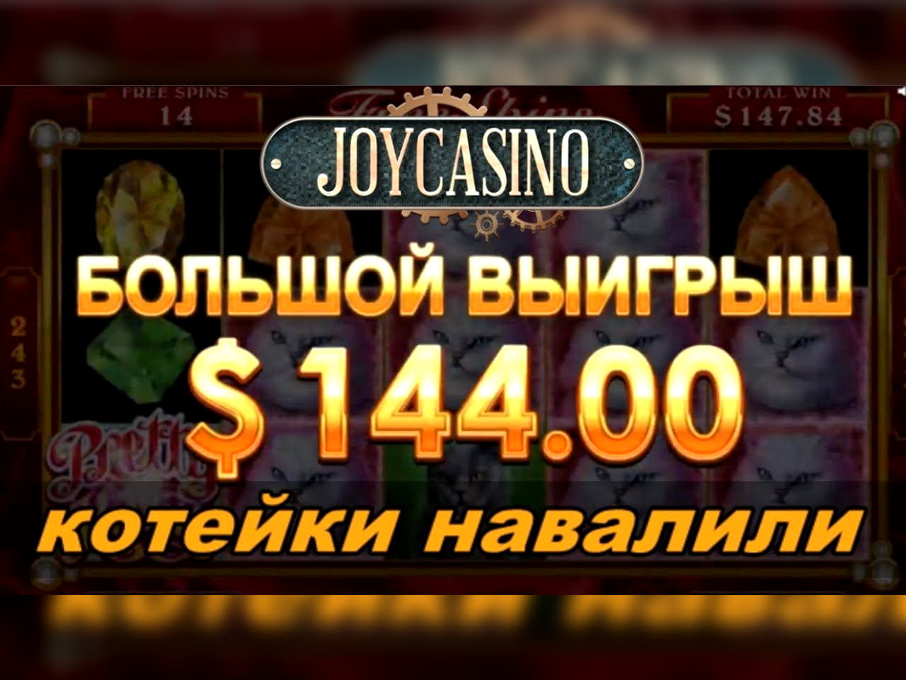 Eur 560 Free Cash at Red Bet Casino