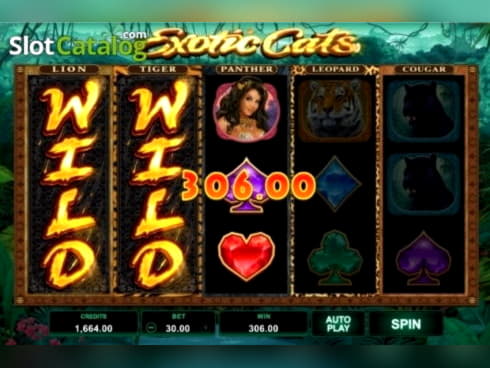 690% Match at a casino at Genesis Casino
