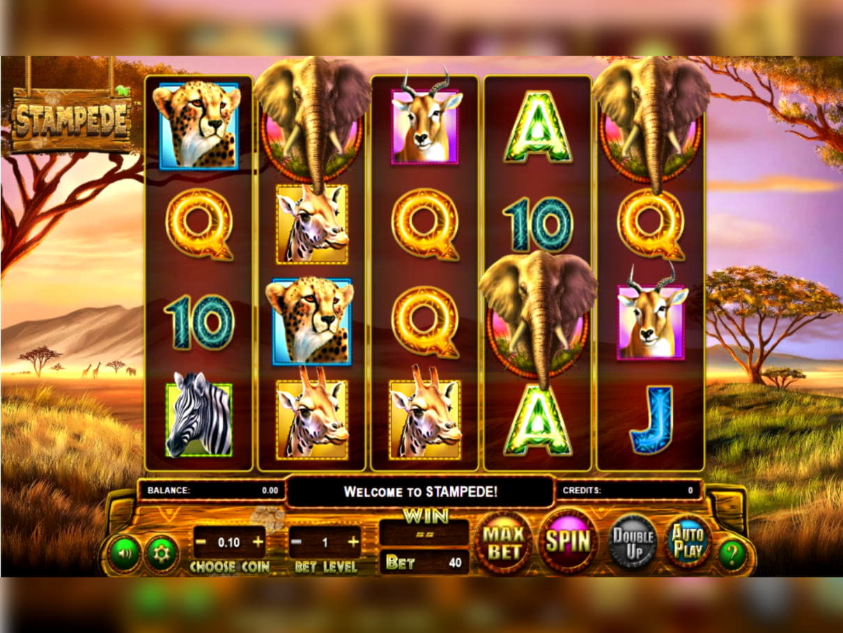 40 free spins no deposit casino at Mummys Gold Casino