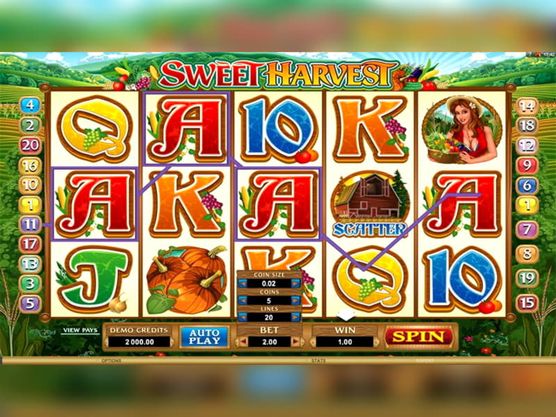 800% Match Bonus Casino at Mummys Gold Casino