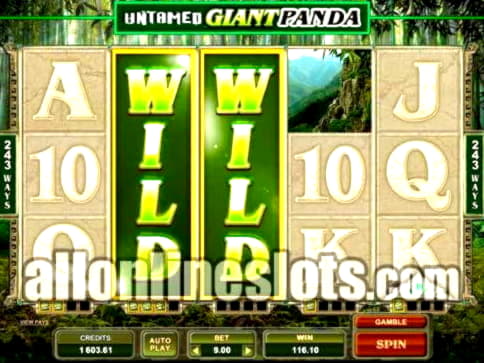 EURO 895 Casino Tournament at Platinum Play Casino