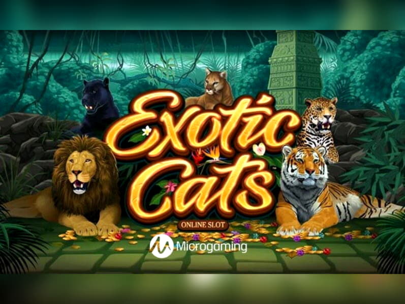 €680 casino chip at Come On Casino
