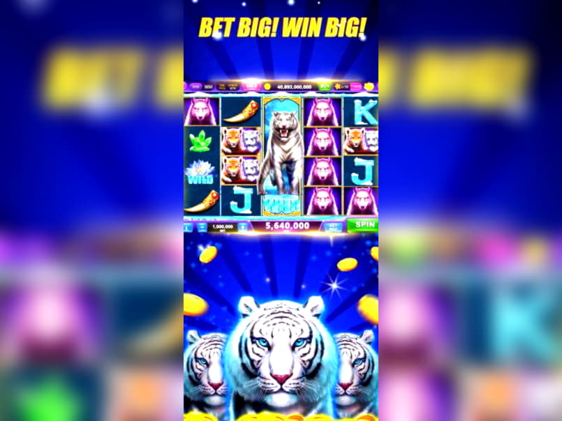 970% casino match bonus at Casino Las Vegas
