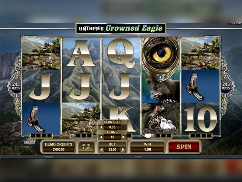 145 FREE SPINS at Mummys Gold Casino