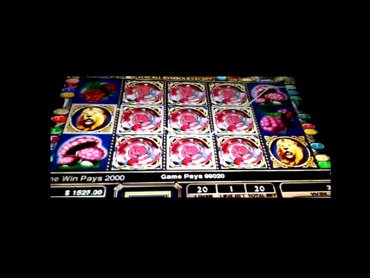 $4870 No Deposit at Mummys Gold Casino