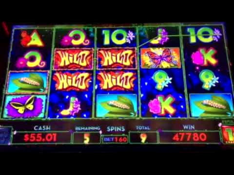 Eur 205 casino chip at Mummys Gold Casino