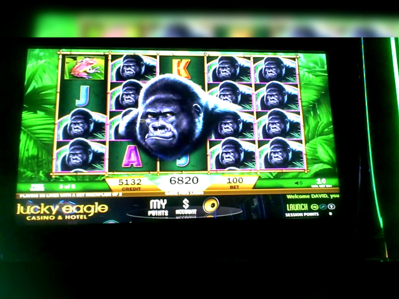 $390 free chip casino at bWin Casino