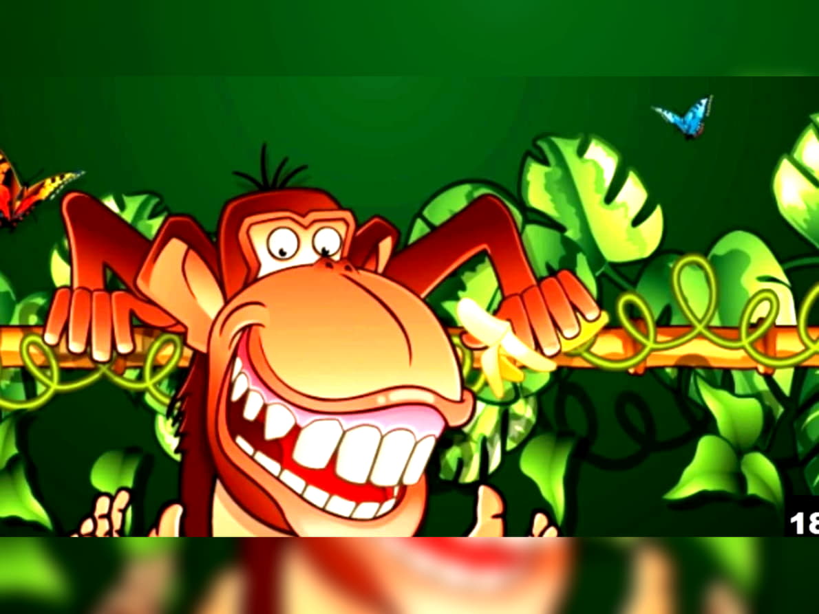EURO 385 free chip casino at LV Bet Casino