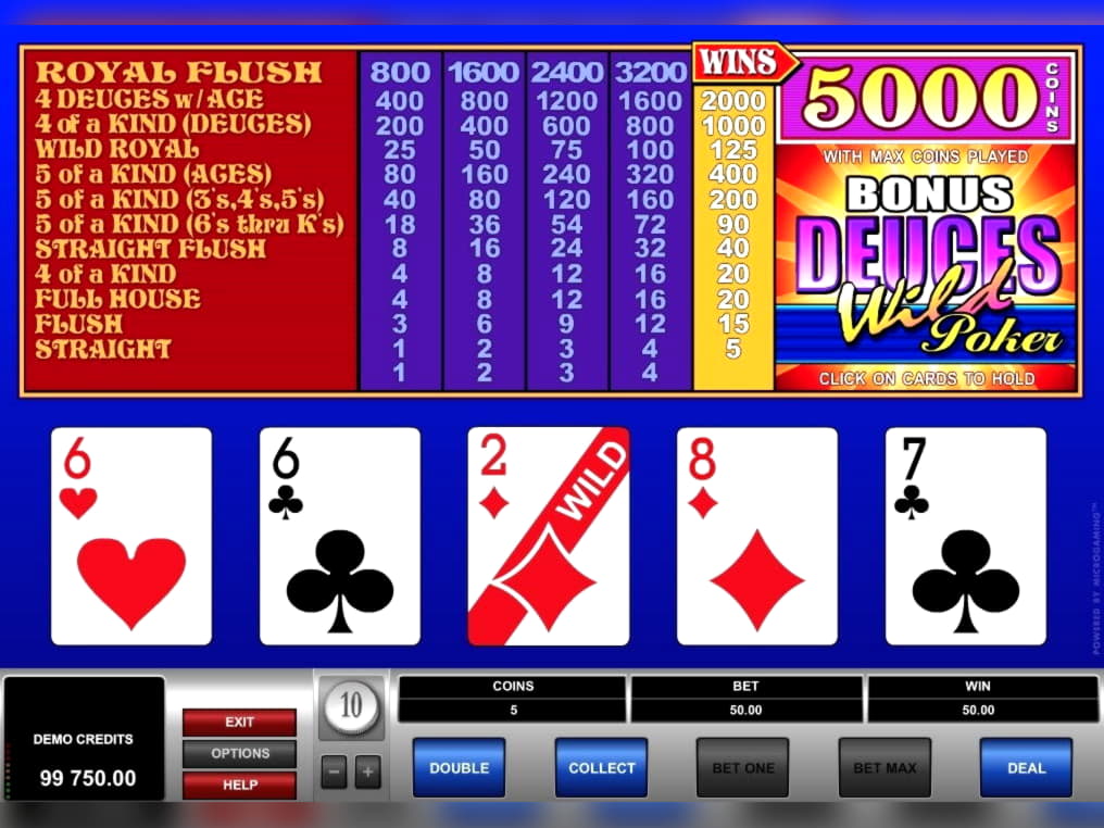 145 Loyal Free Spins! at Mummys Gold Casino