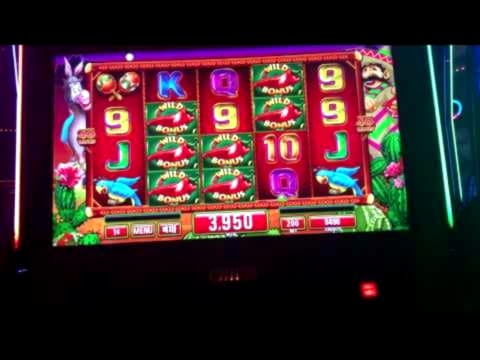 EURO 1715 No Deposit Casino Bonus at Vegas Hero Casino