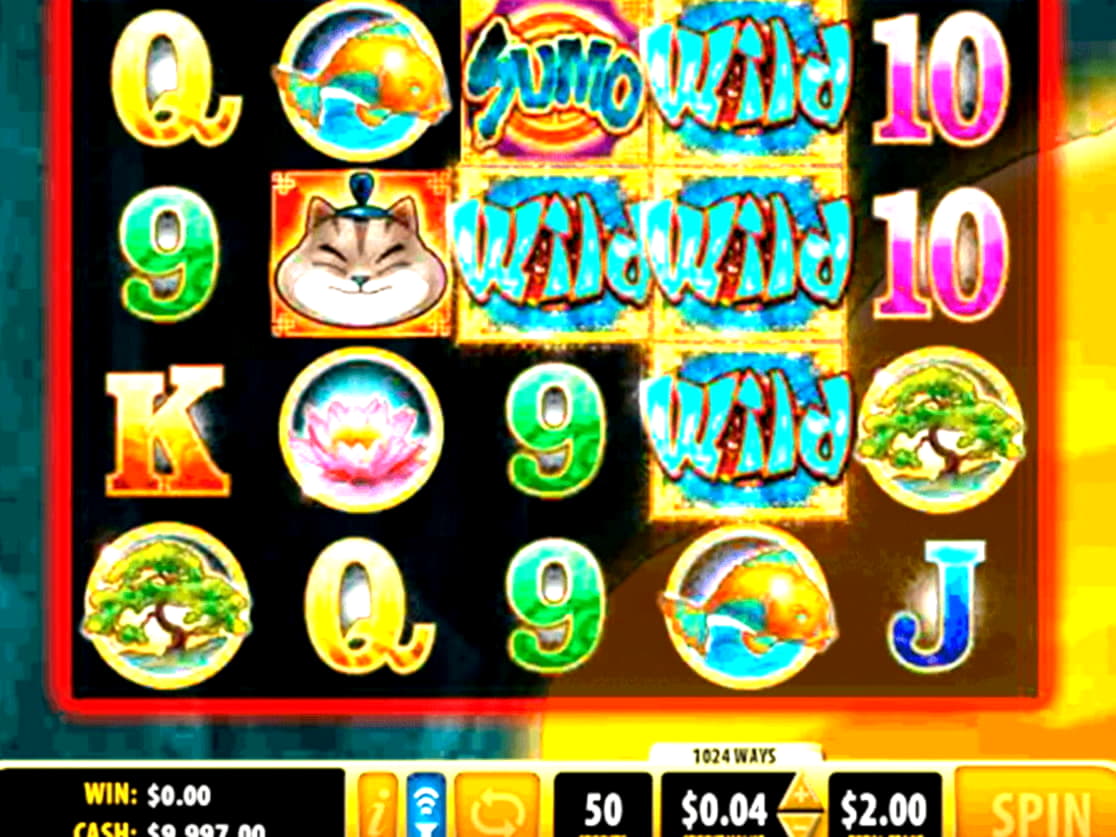 Eur 880 Daily freeroll slot tournament at Platinum Play Casino