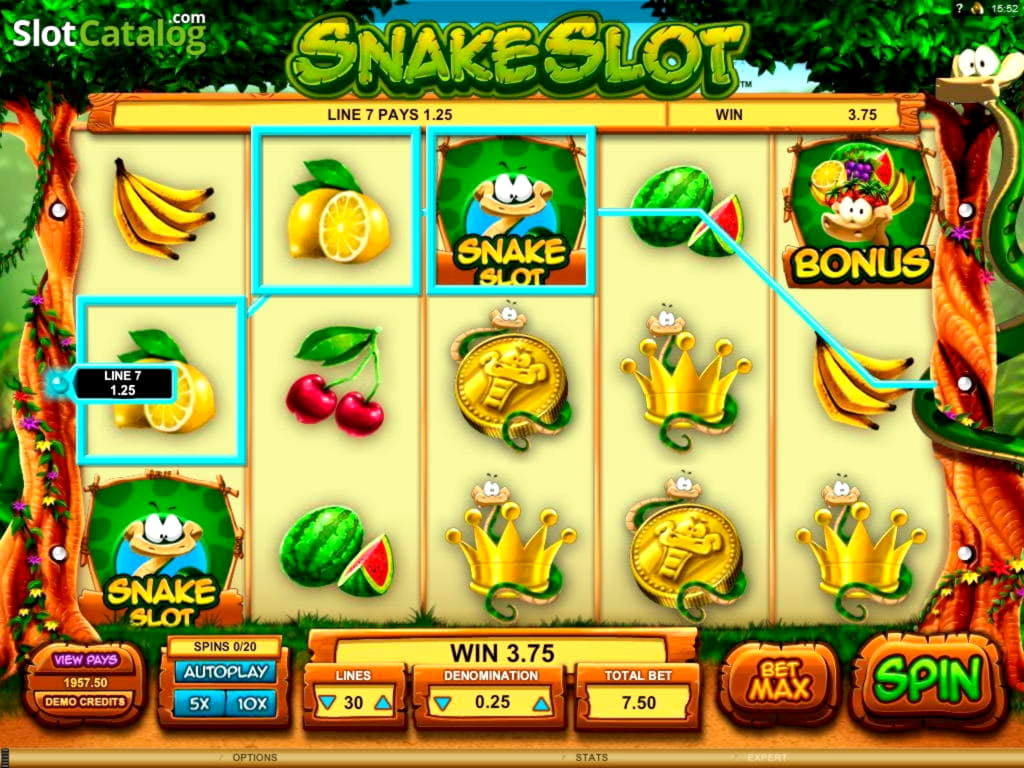210 Free spins at Mummys Gold Casino
