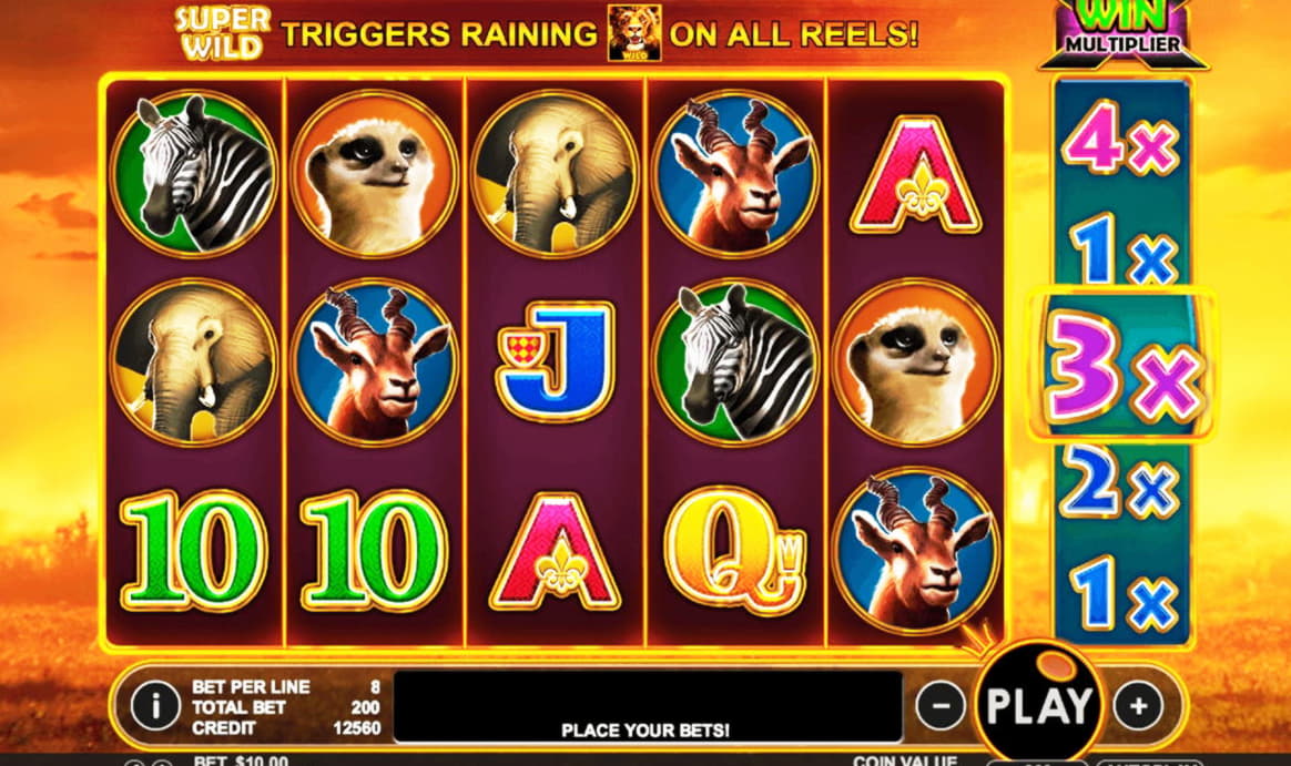 EURO 405 Daily freeroll slot tournament at Gratorama Casino