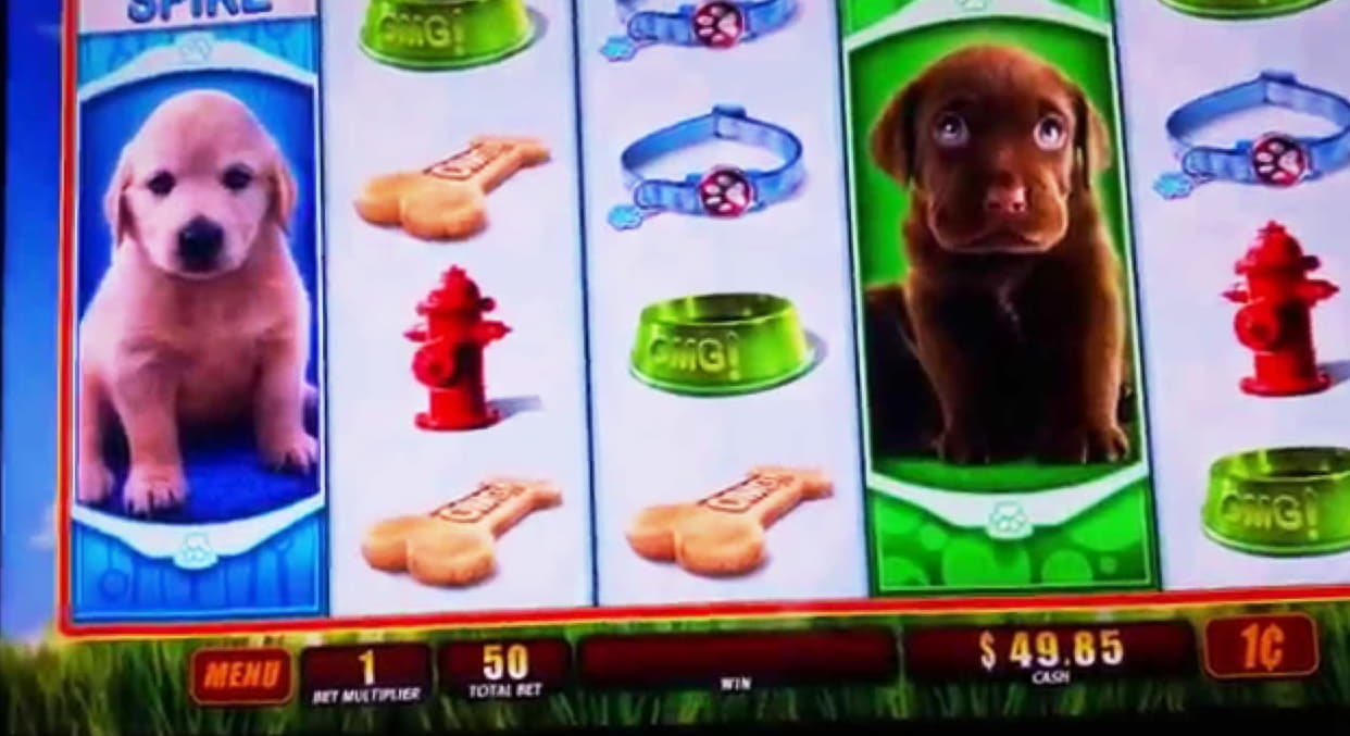 75 Loyalty Free Spins! at Cherry Jackpot Casino