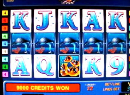 €4430 NO DEPOSIT BONUS CODE at Mummys Gold Casino