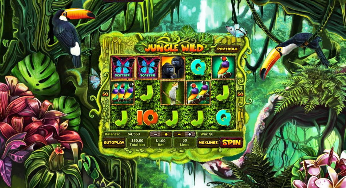 €555 Daily freeroll slot tournament at Genesis Casino